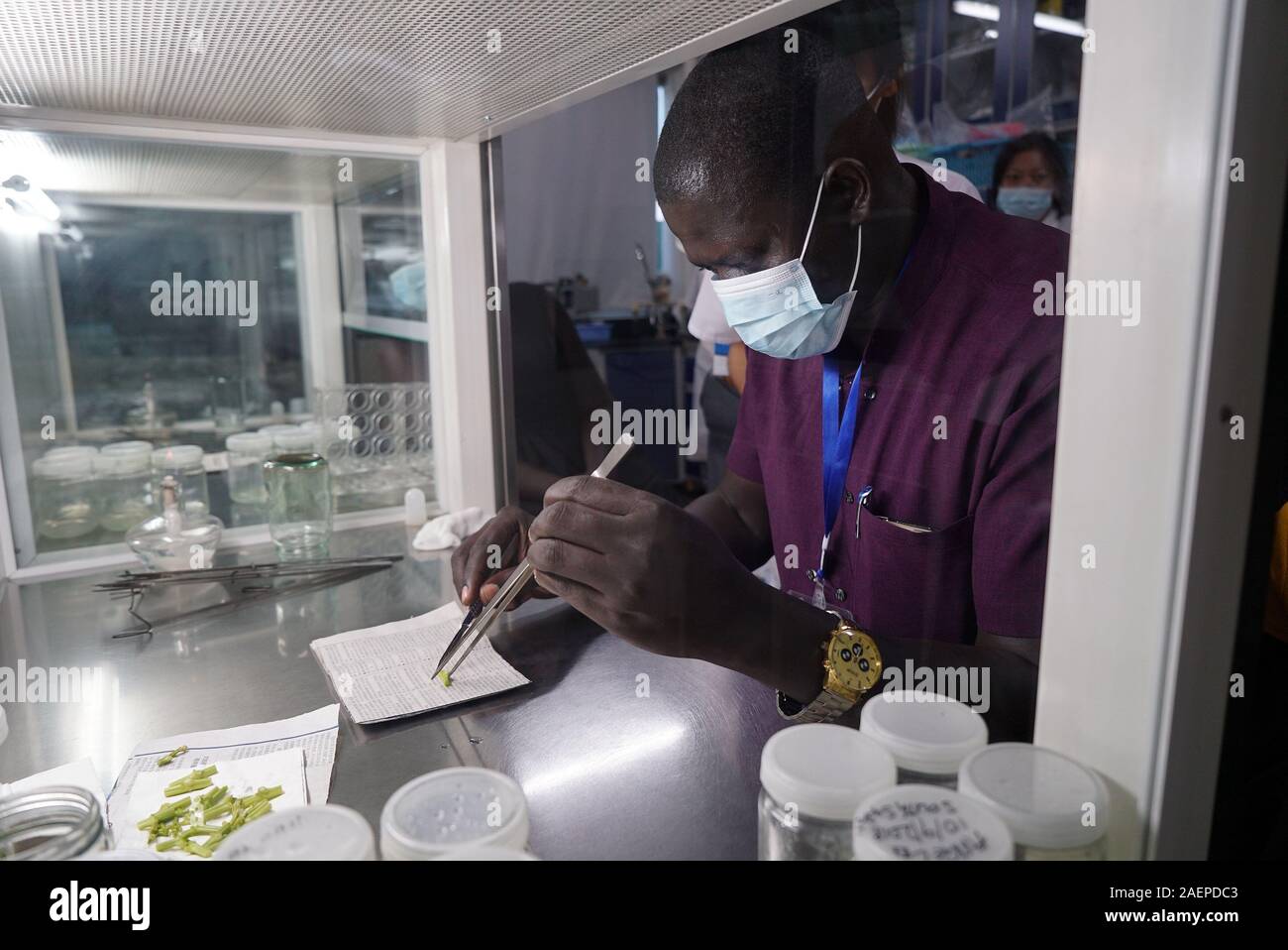 Sanya, Chine. 10 Sep, 2018. Un apprenant de l'Afrique de l'études de la technologie de la culture de tissus végétaux à un laboratoire de la direction générale de Danzhou de l'Académie Chinoise des Sciences Agricoles Tropicaux (CATAS) à Danzhou City, en Chine, le 10 septembre, 2018. Credit : Wang Junfeng/Xinhua/Alamy Live News Banque D'Images