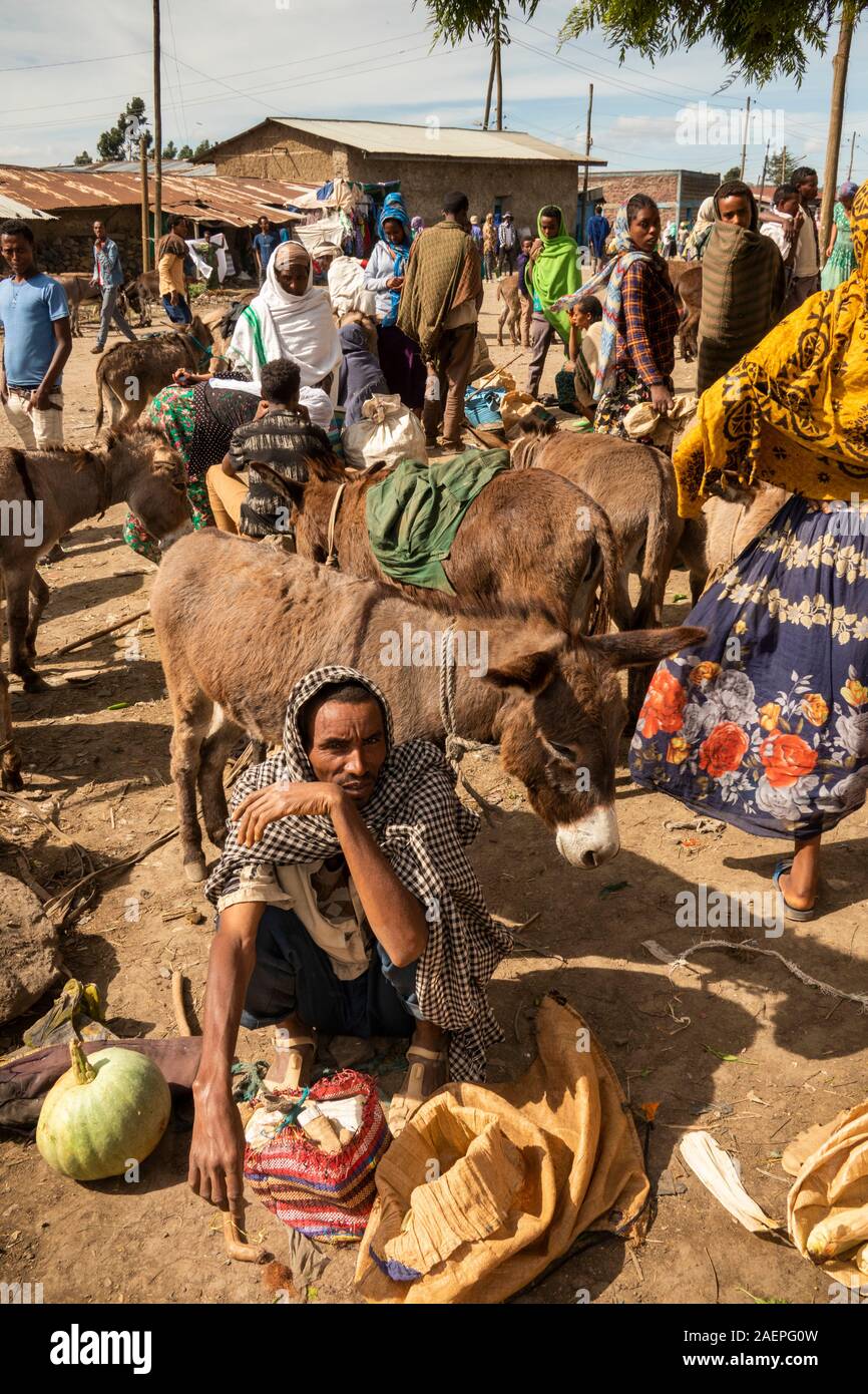 L'Éthiopie, région d'Amhara, Dabat, petit marché local, l'homme avec les achats reposant à côté des ânes Banque D'Images