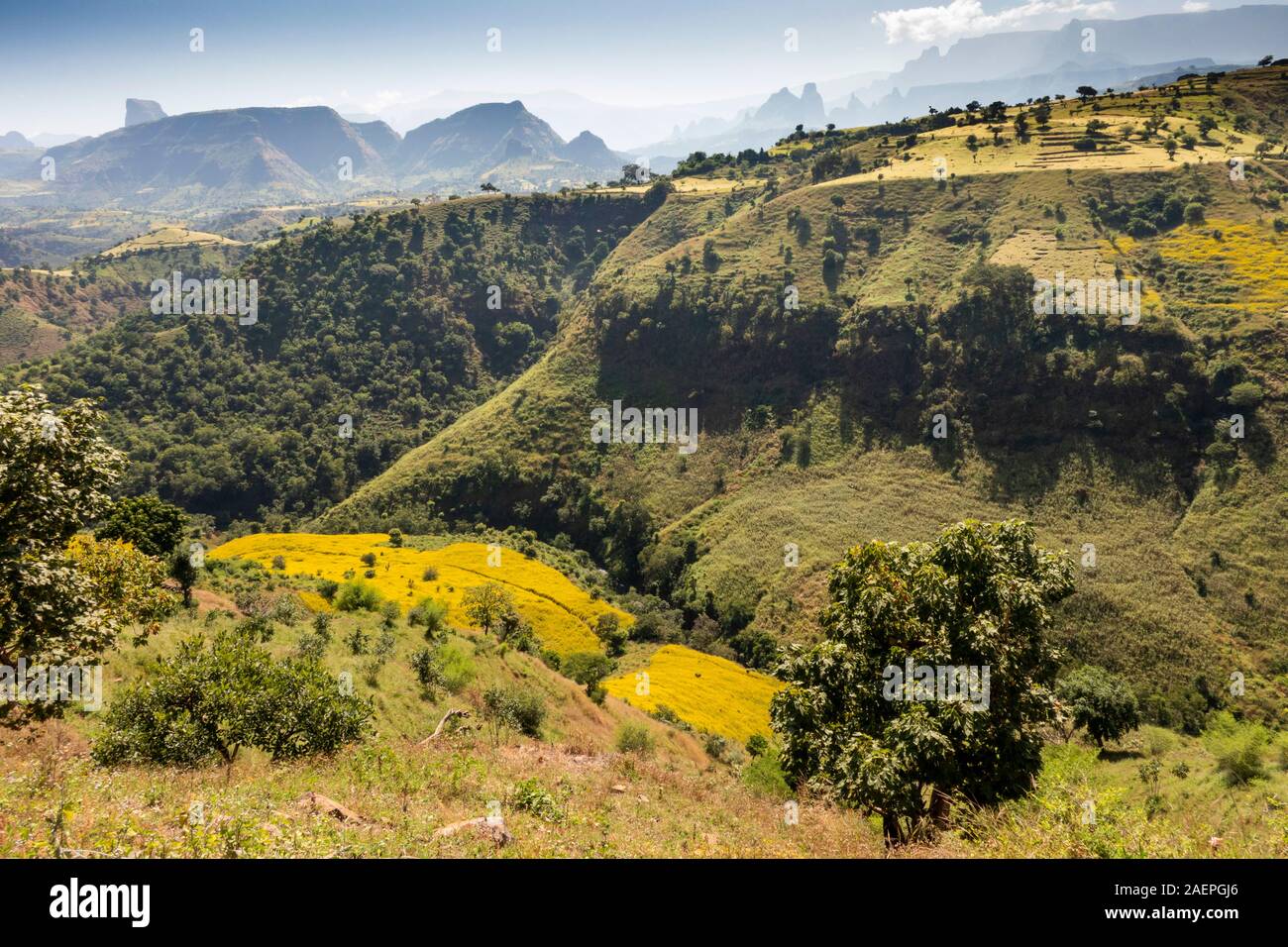 L'Éthiopie, du Tigré, champs agricoles sur des pentes raides dans dans un paysage montagneux Banque D'Images