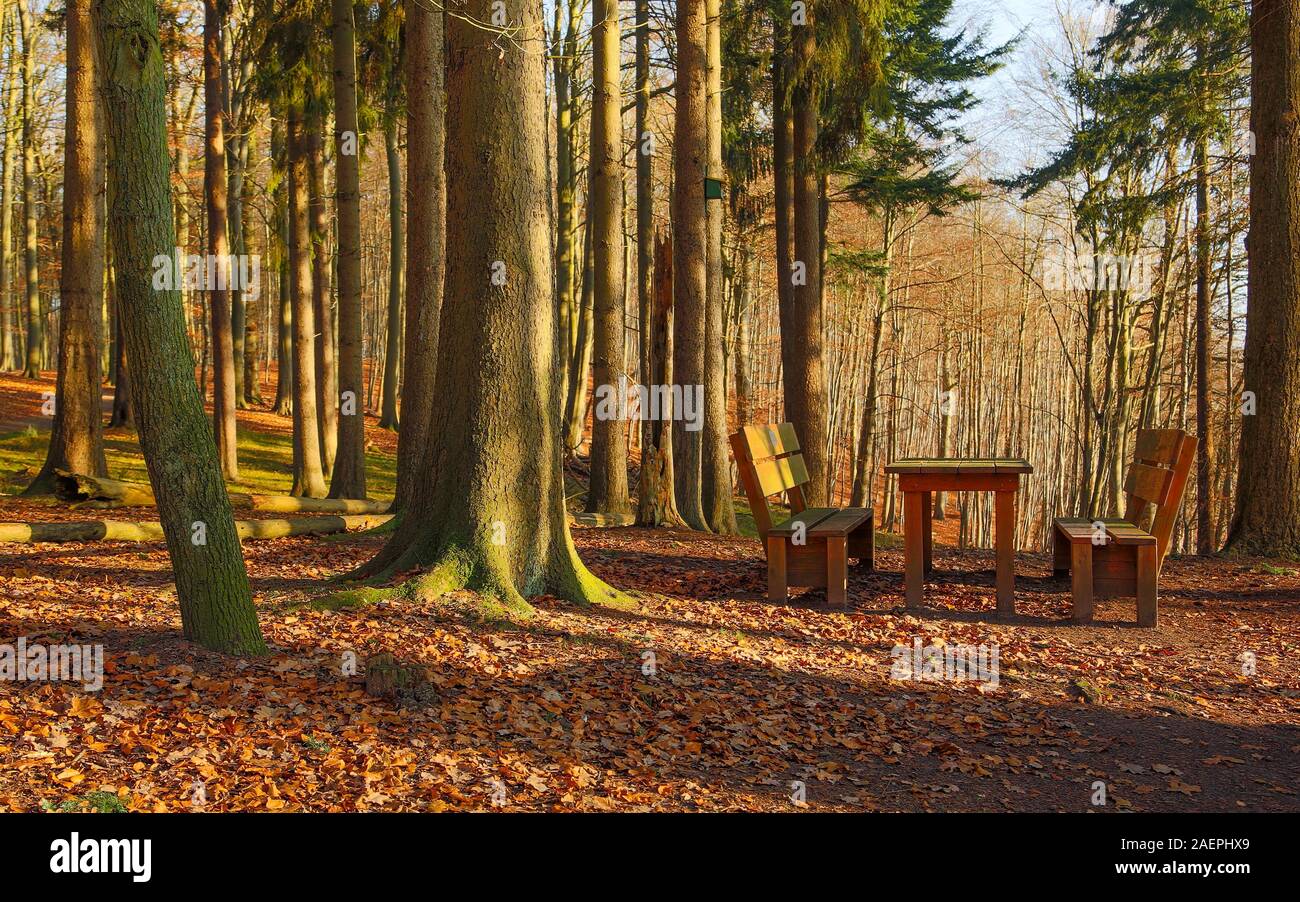 Un endroit idyllique pour se remettre d'une longue randonnée ou tout simplement profiter de la nature. Banque D'Images