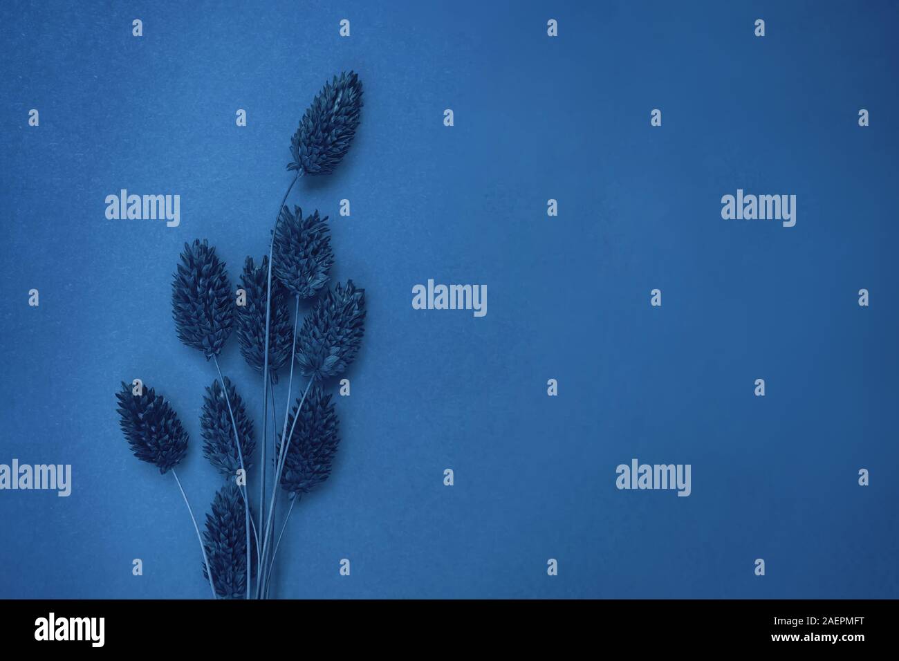 Bouquet de fleurs sur fond bleu avec l'exemplaire de l'espace. Banque D'Images