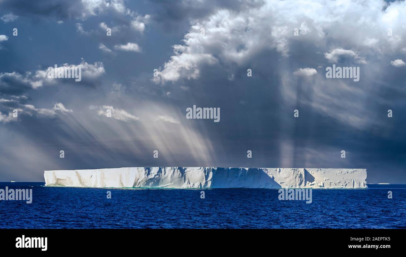 Un iceberg tabulaire dans la péninsule Antarctique, l'Antarctique. Banque D'Images