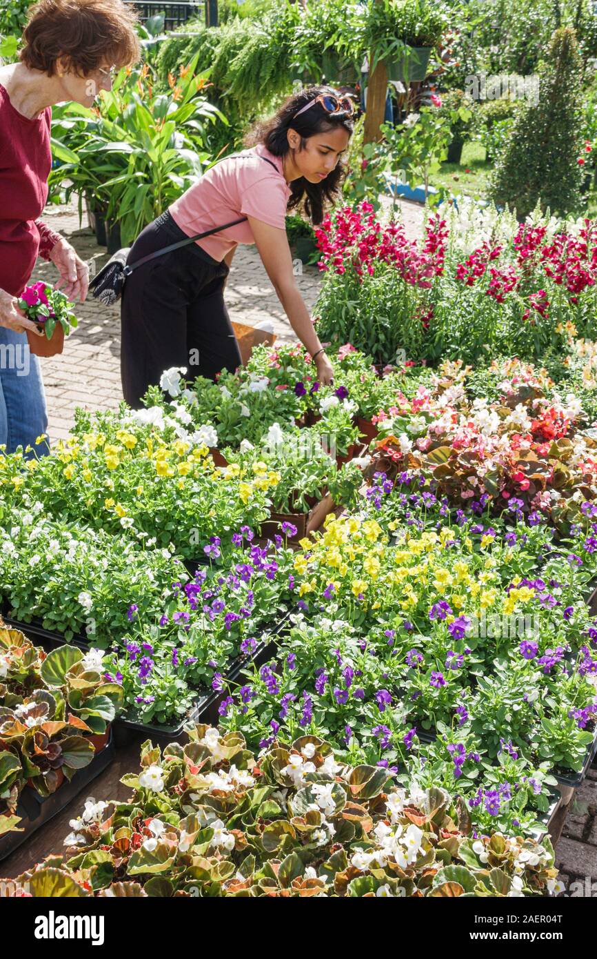 Orlando Winter Park Florida,centre-ville,quartier historique,marché agricole,hebdomadaire samedi extérieur,fournisseur,pépinière,fleurs de jardin,à vendre,shopping,d Banque D'Images