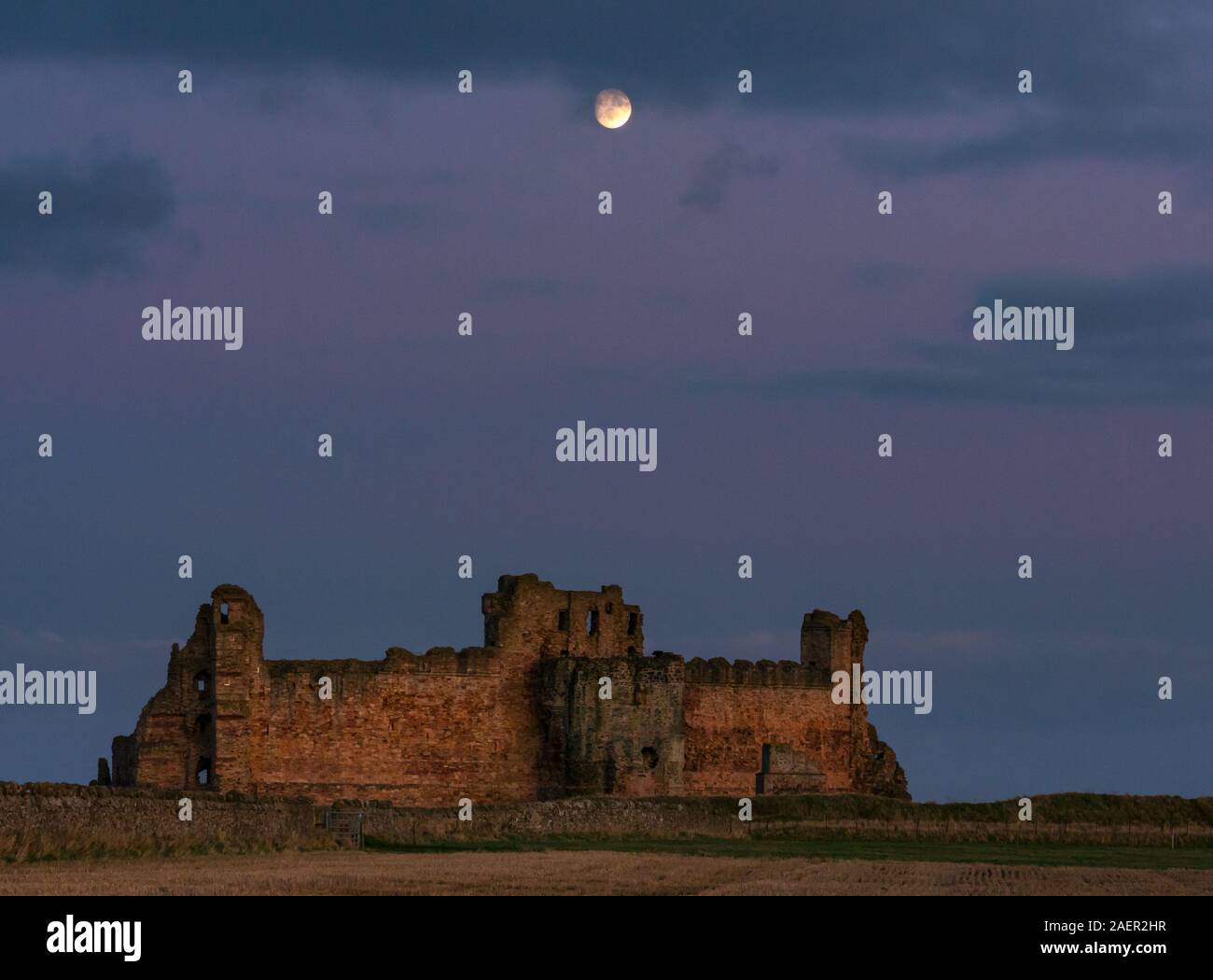 Un ciel clair avec Lune gibbeuse passant au-dessus du mur rideau en ruine de 14e siècle ruines du Château de Tantallon, East Lothian, Scotland, UK Banque D'Images