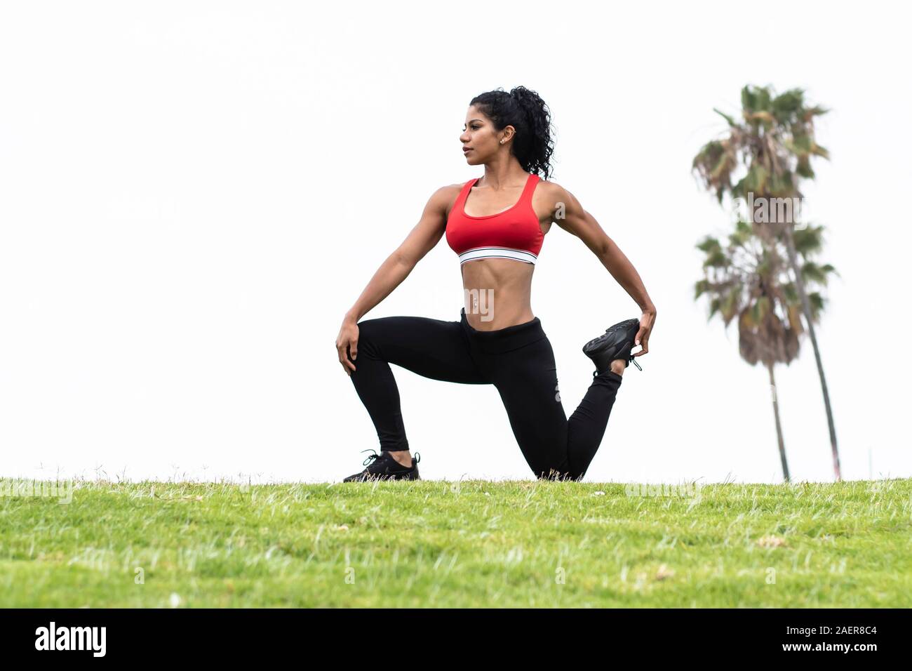 L'athlète de Latina exécute quatre stretch plein air portant des leggings de fitness et un soutien-gorge de sport rouge avec des palmiers en arrière-plan Banque D'Images