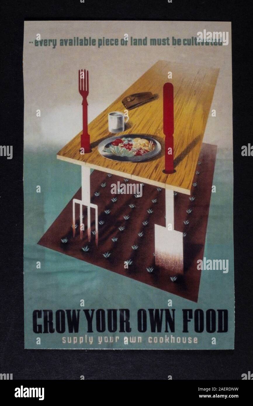 'Développez Votre Propre alimentation-approvisionnement votre propre maison de cuisine' affiche, un morceau de la seconde Guerre mondiale liée à des répliques de souvenirs de la Grande-Bretagne dans les années 1940. Banque D'Images