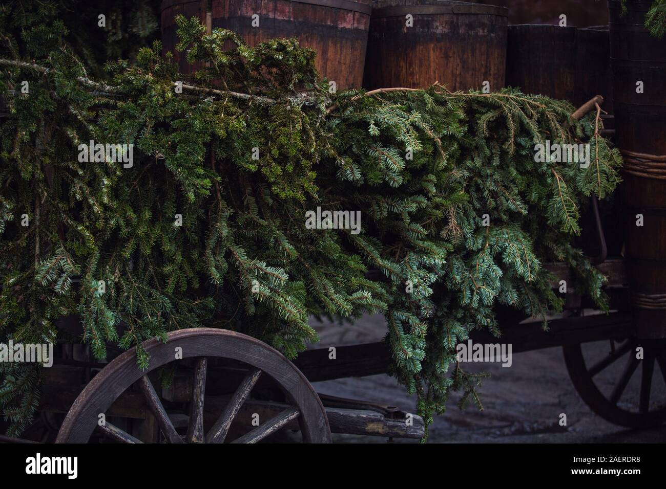 Campagne vintage fond de Noël avec une vieille charrette chargée de tonneaux de vin et des sapins de décorations. Prêt à commencer la foire pour winte Banque D'Images