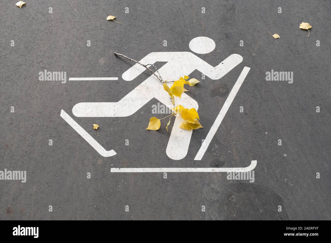 Inscrivez-ski d'asphalte sur la chaussée le temps d'automne Banque D'Images