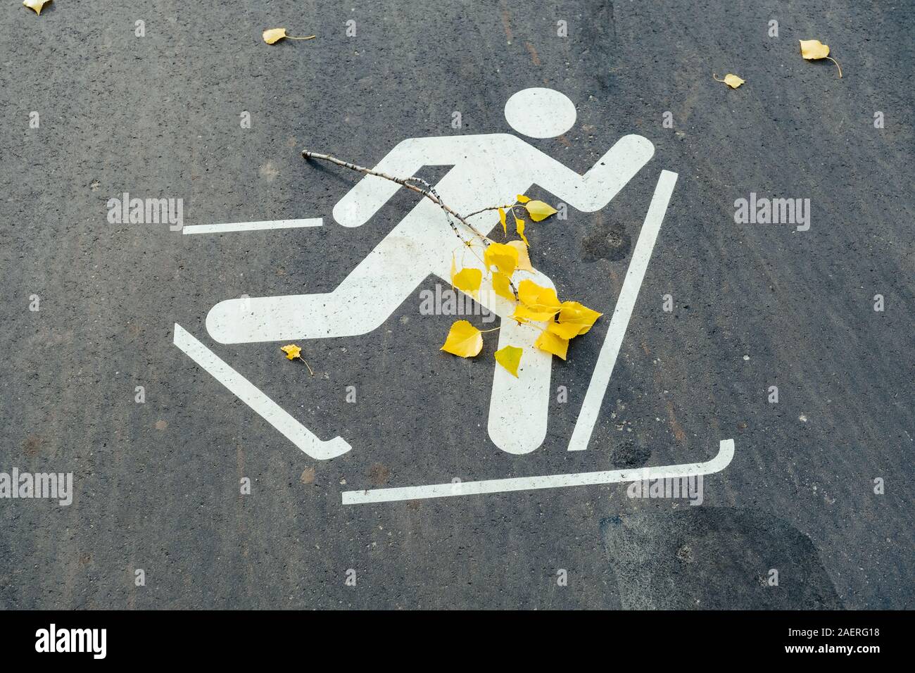 Inscrivez-ski d'asphalte sur la chaussée le temps d'automne Banque D'Images