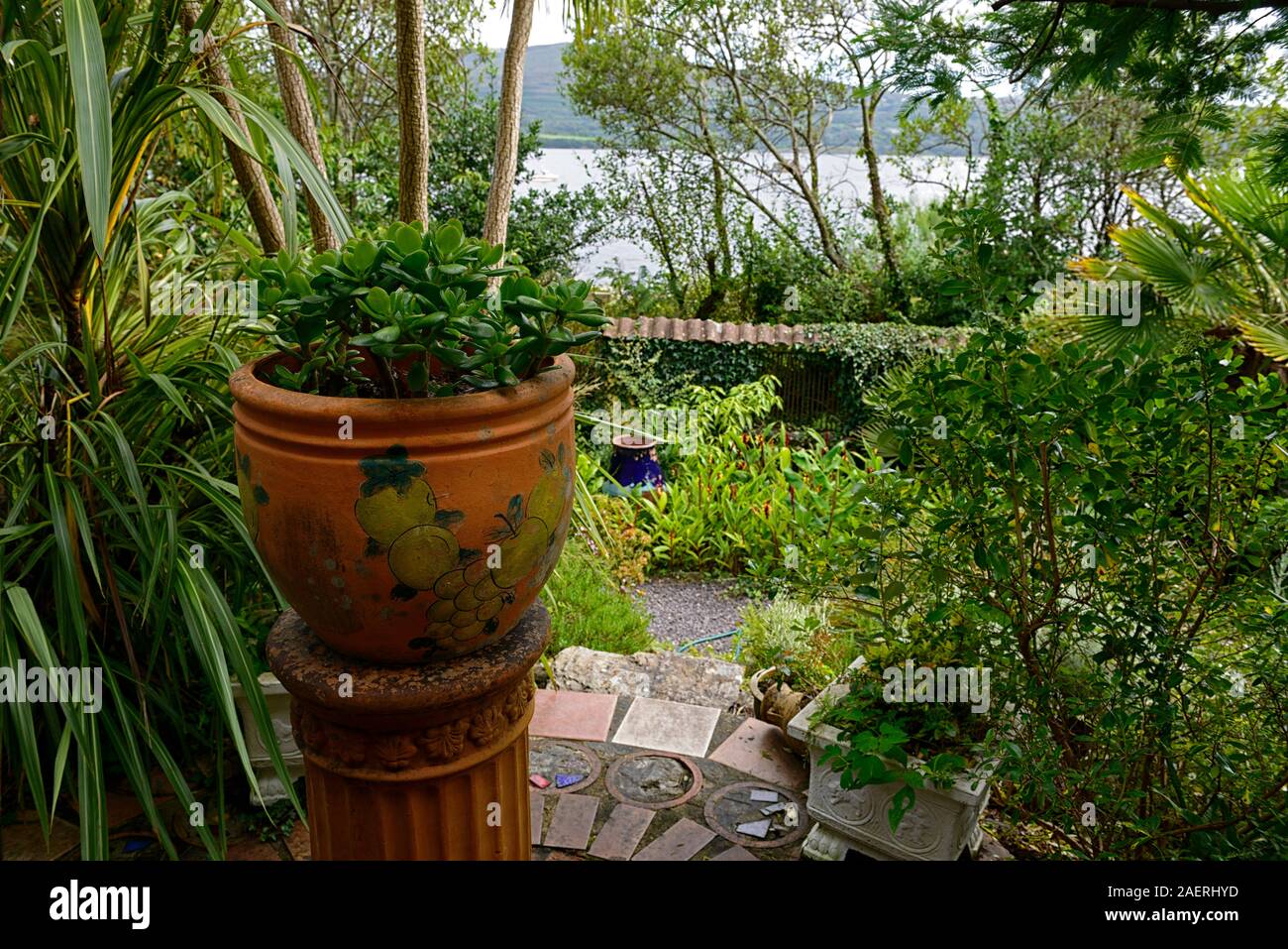 L'argent,plantes,urn,pot,pots conteneurs,piscine,jardin,en plein air,jardins,Floral RM Banque D'Images