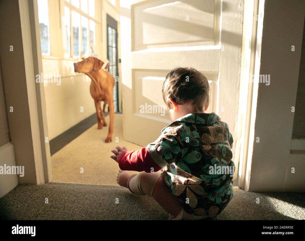 Baby Boy à la maison avec son chien. Banque D'Images