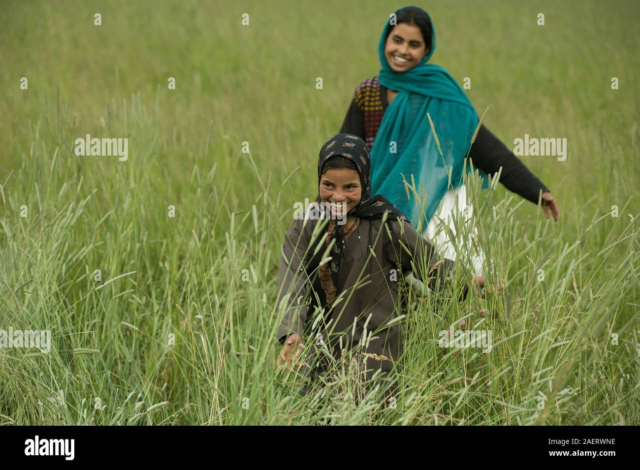 Une belle petite fille dans les champs de la vallée d'Aru, et son amie Banque D'Images