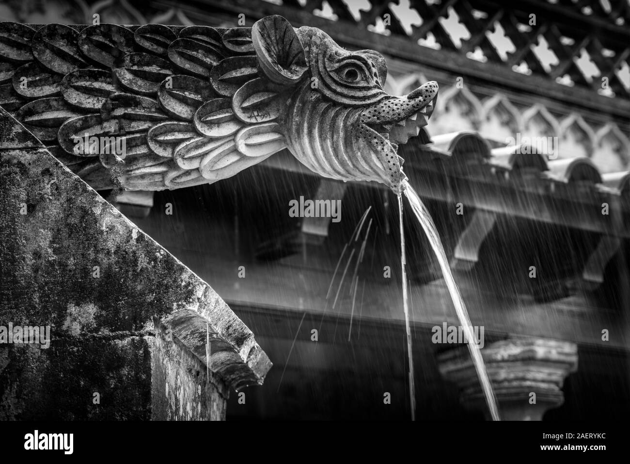 Grotesque Gargouille Dragon sculpté avec un bec verseur conçu pour acheminer l'eau d'un toit à l'écart de la côté d'un bâtiment, de cracher l'eau de pluie à Batalha Banque D'Images