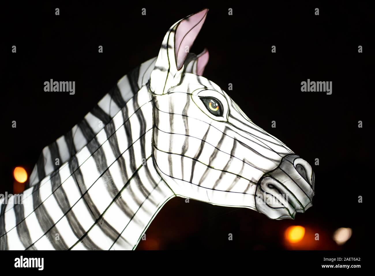 Un zèbre artificiel éclairé à la foire de Noël de Torrejon d'Ardoz Banque D'Images Un zèbre artificiel éclairé à la foire de Noël de Torrejon d'Ardoz Banque D'Images