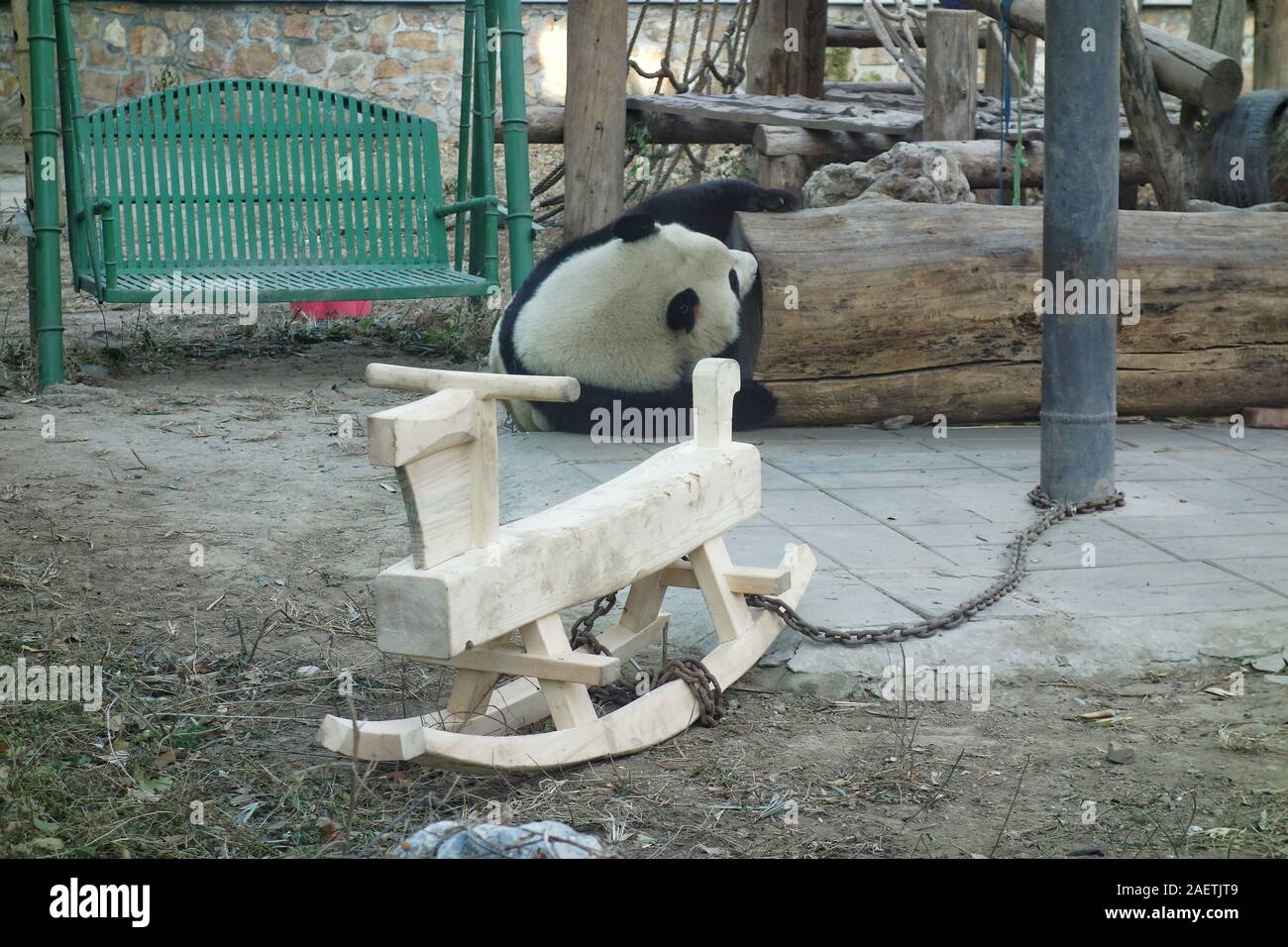 Un Trojan rocking chair est mise dans la chambre en Panda du Zoo de Beijing à Beijing, Chine, 26 novembre 2019. Banque D'Images