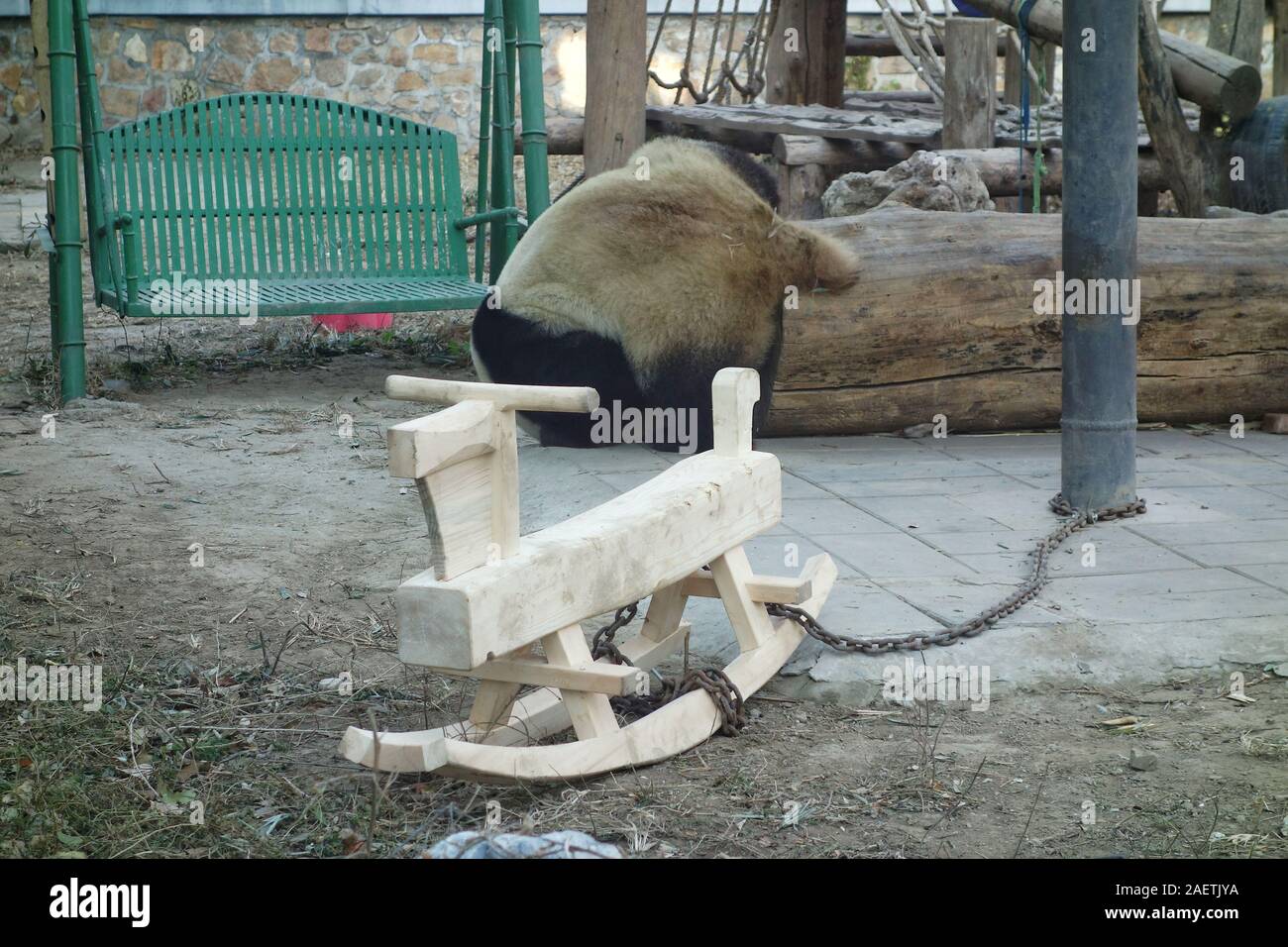 Un Trojan rocking chair est mise dans la chambre en Panda du Zoo de Beijing à Beijing, Chine, 26 novembre 2019. Banque D'Images