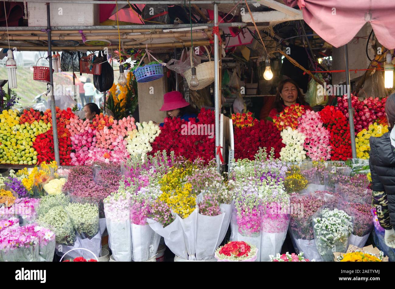 Un vendeur vend des fleurs sur son étal sur un marché aux fleurs à Hanoi, Vietnam Banque D'Images