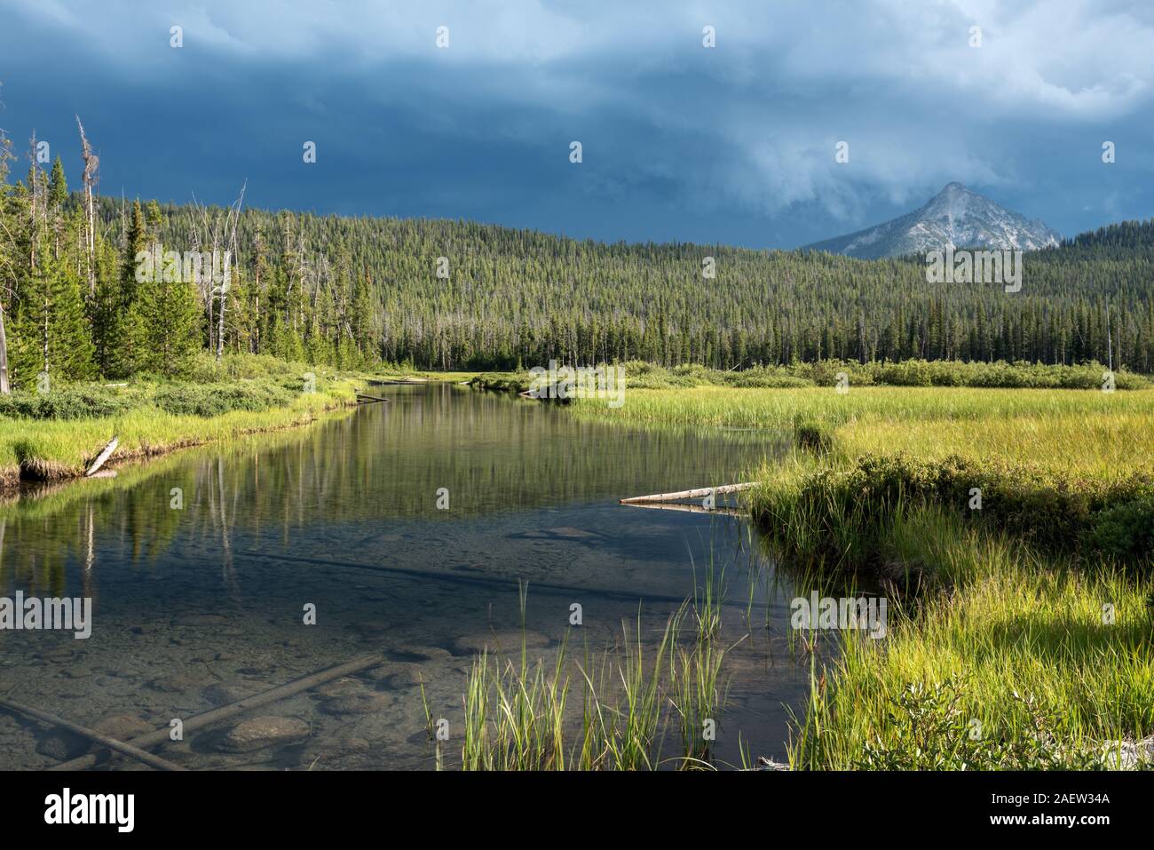 Sortie du lac McDonald à la base des dents de scie, les montagnes de l'Idaho. Banque D'Images