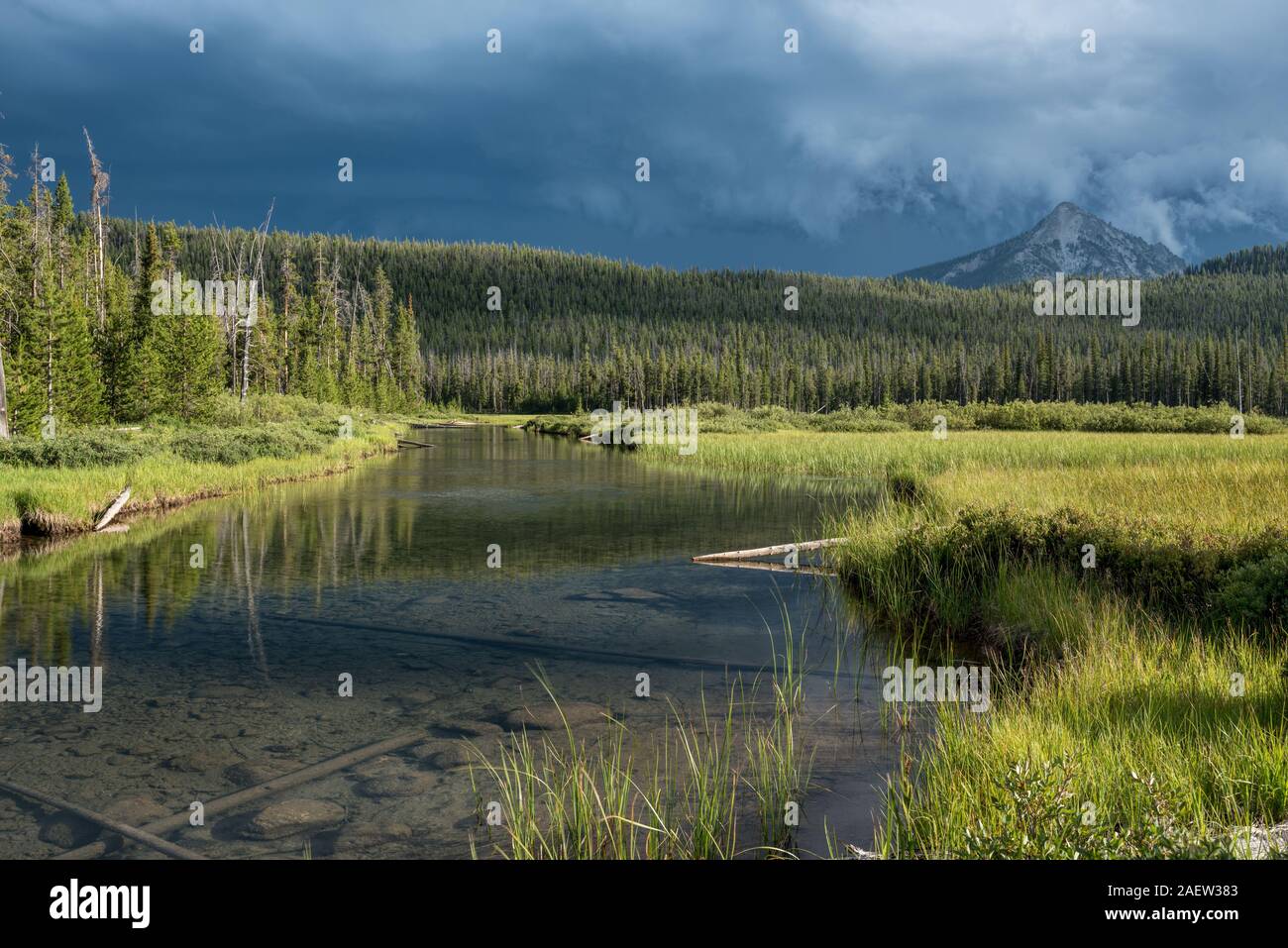 Sortie du lac McDonald à la base des dents de scie, les montagnes de l'Idaho. Banque D'Images