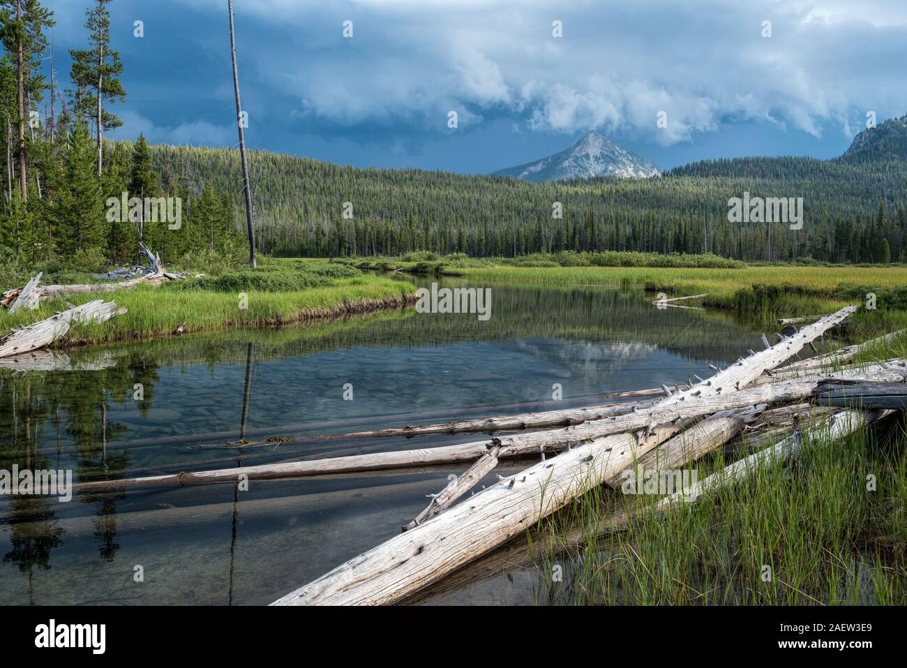 Sortie du lac McDonald à la base des dents de scie, les montagnes de l'Idaho. Banque D'Images