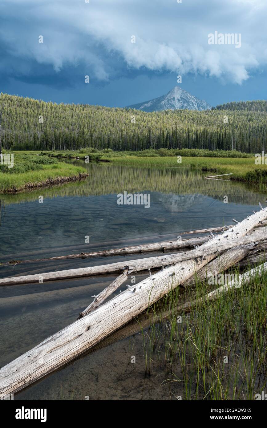 Sortie du lac McDonald à la base des dents de scie, les montagnes de l'Idaho. Banque D'Images