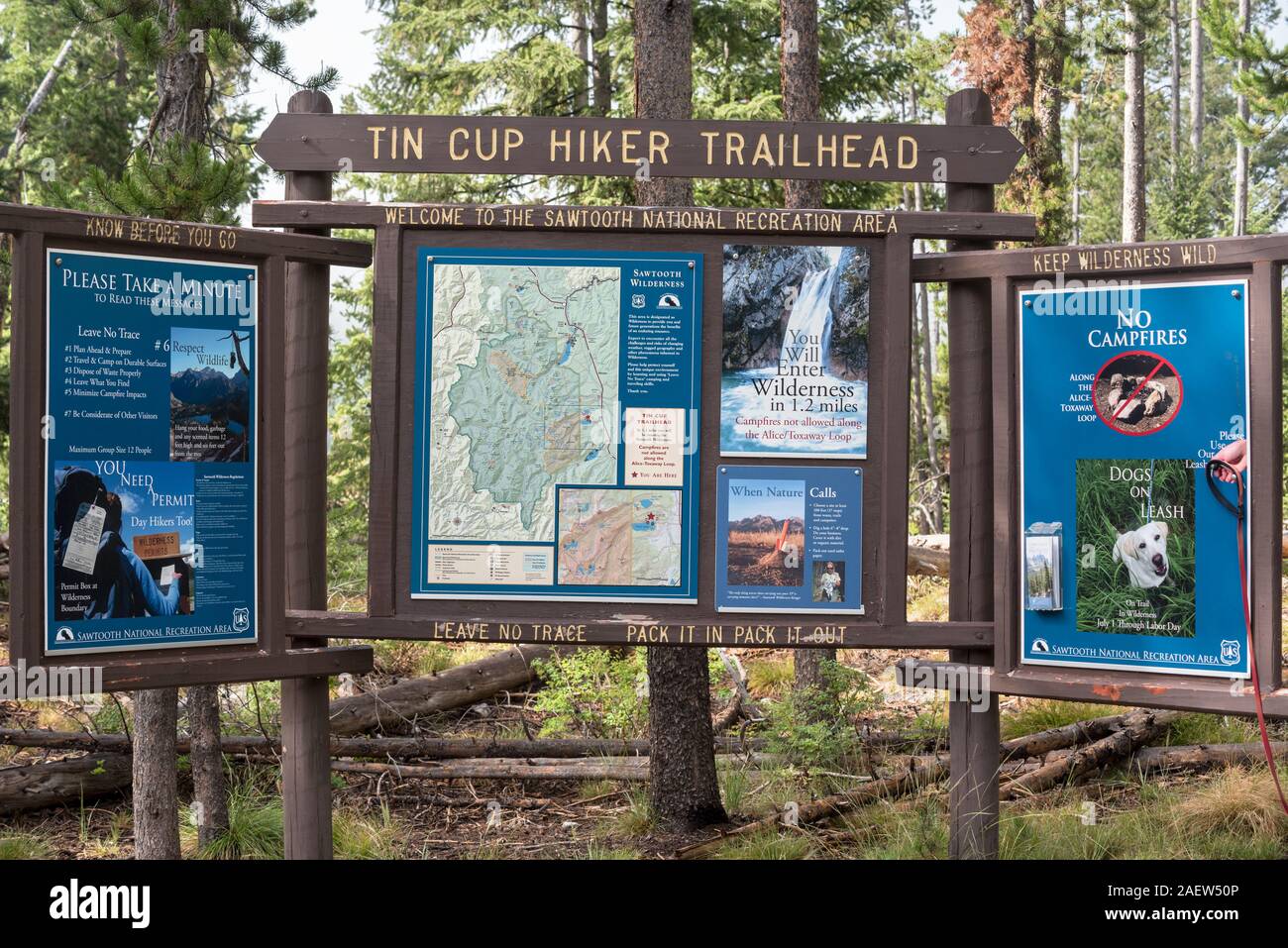 Tin Cup Trailhead A Scenic Adventure in the Heart of Nature Paraiso
