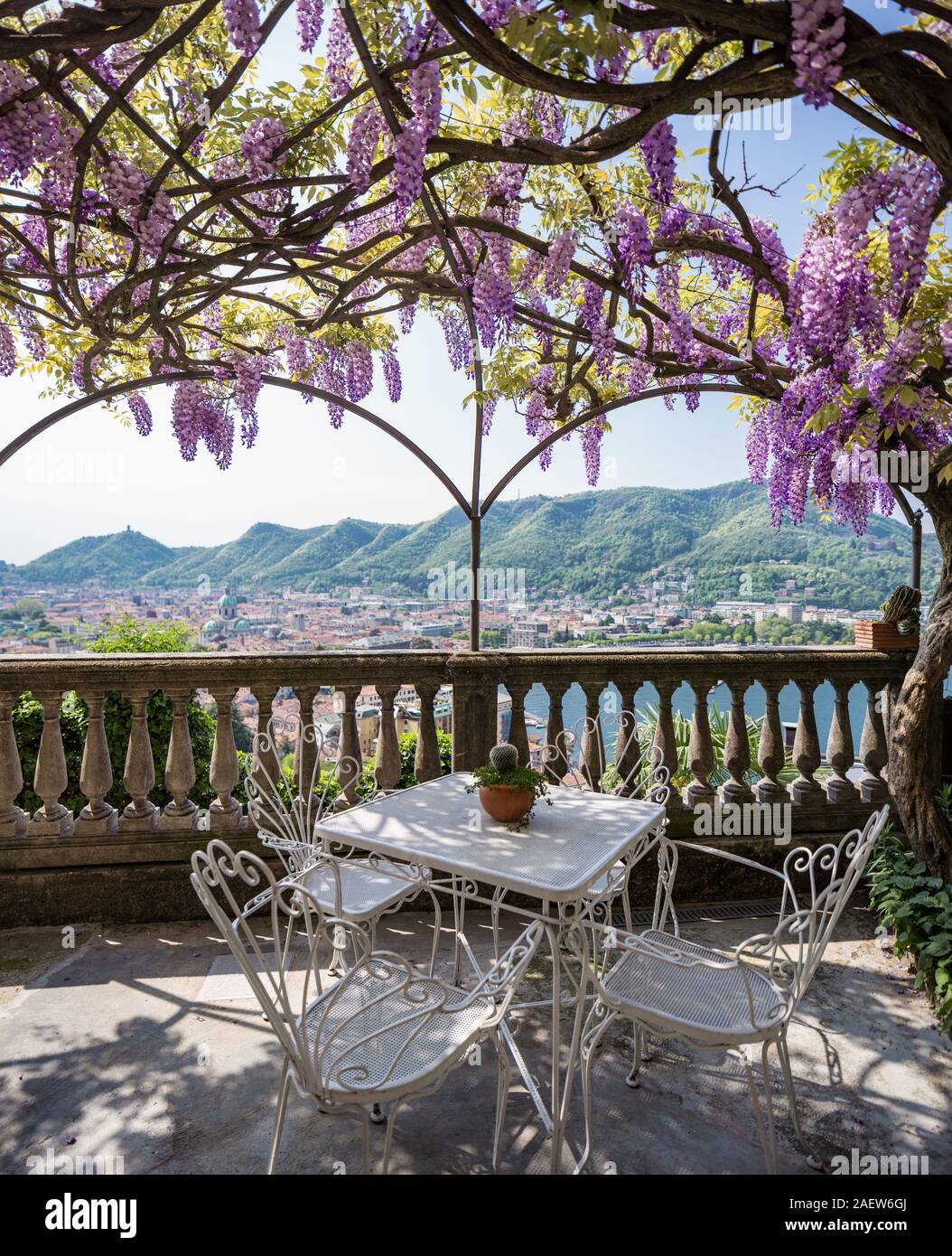 Superbe véranda couverte par glycine colorés sur une belle journée de printemps Banque D'Images