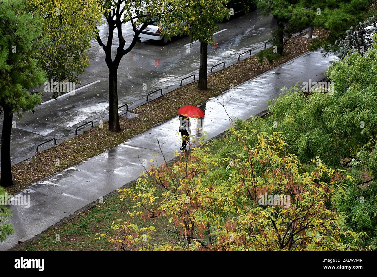 Femme marche dans la rue avec parapluie rouge à jour de pluie/ Concept pour le mauvais temps, l'hiver ou de protection Banque D'Images