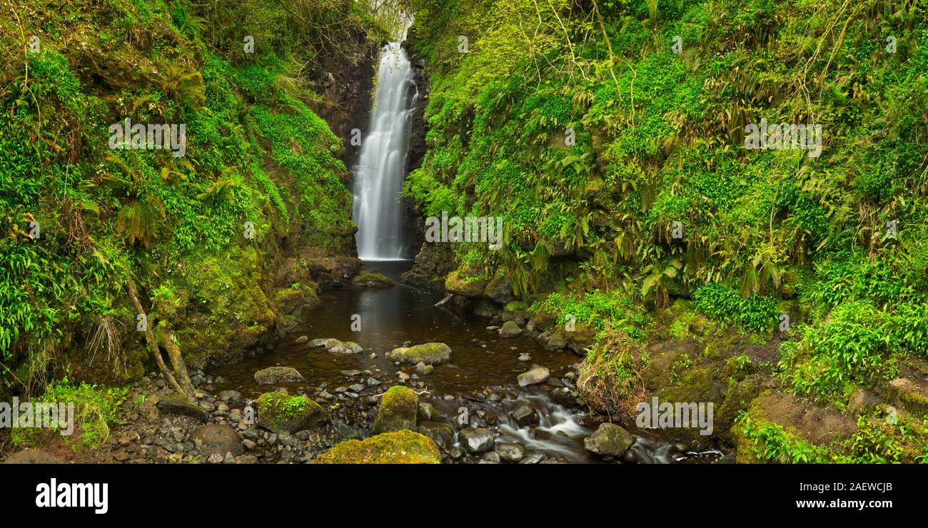 Les recoins Falls près de Carnlough en Irlande du Nord. Banque D'Images