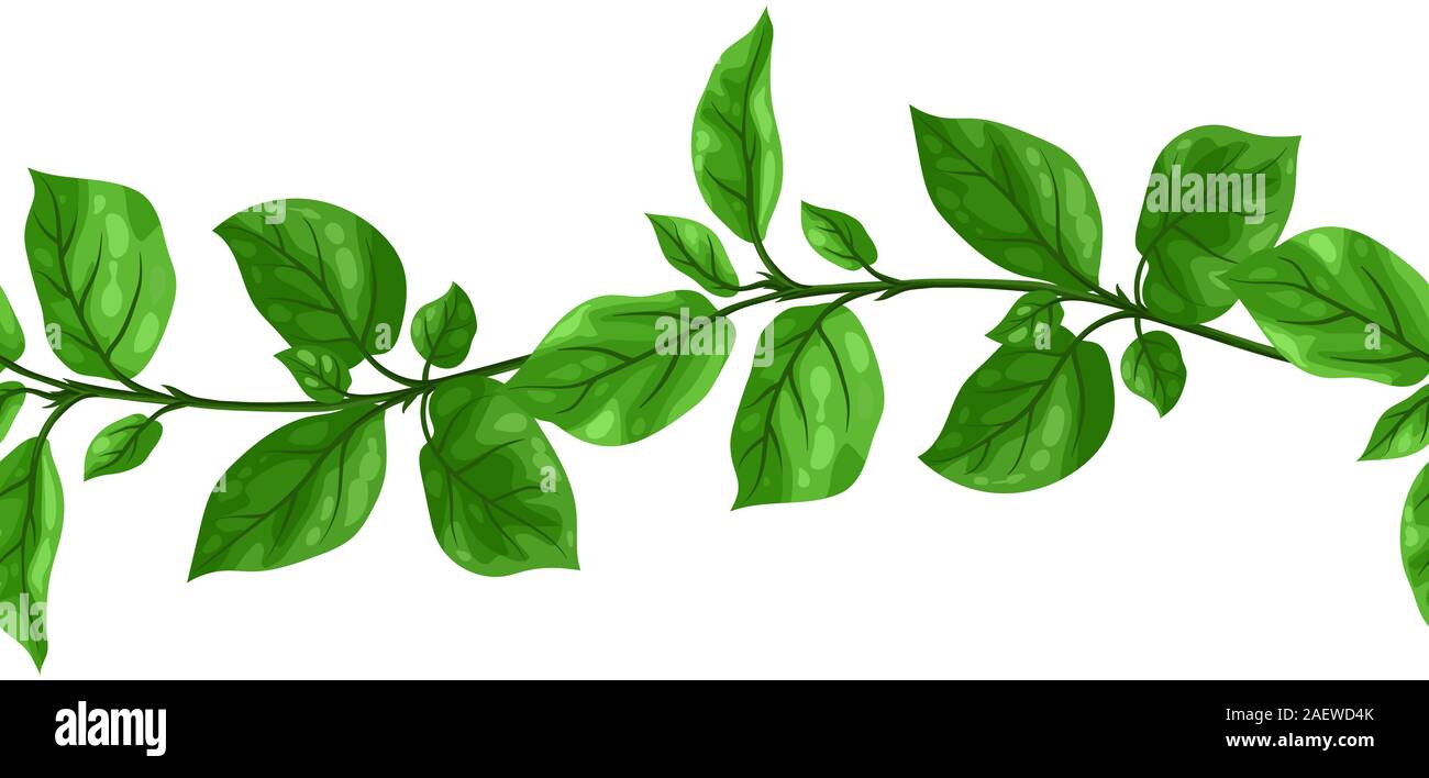Liana modèle transparent. Jungle vines plante avec feuilles vertes. Illustration de Vecteur