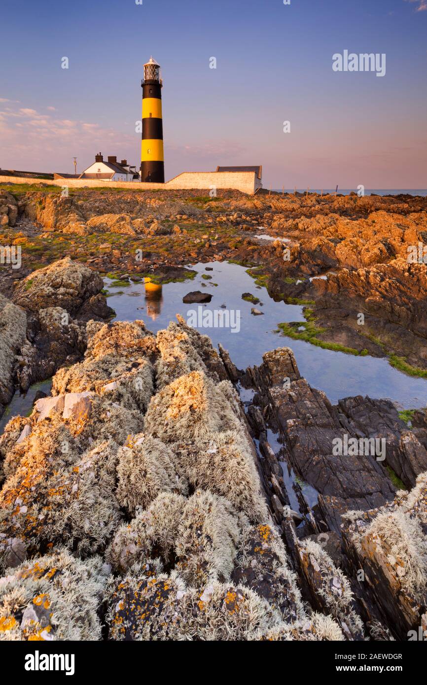 La St. John's Point Lighthouse en Irlande du Nord, photographié au coucher du soleil. Banque D'Images
