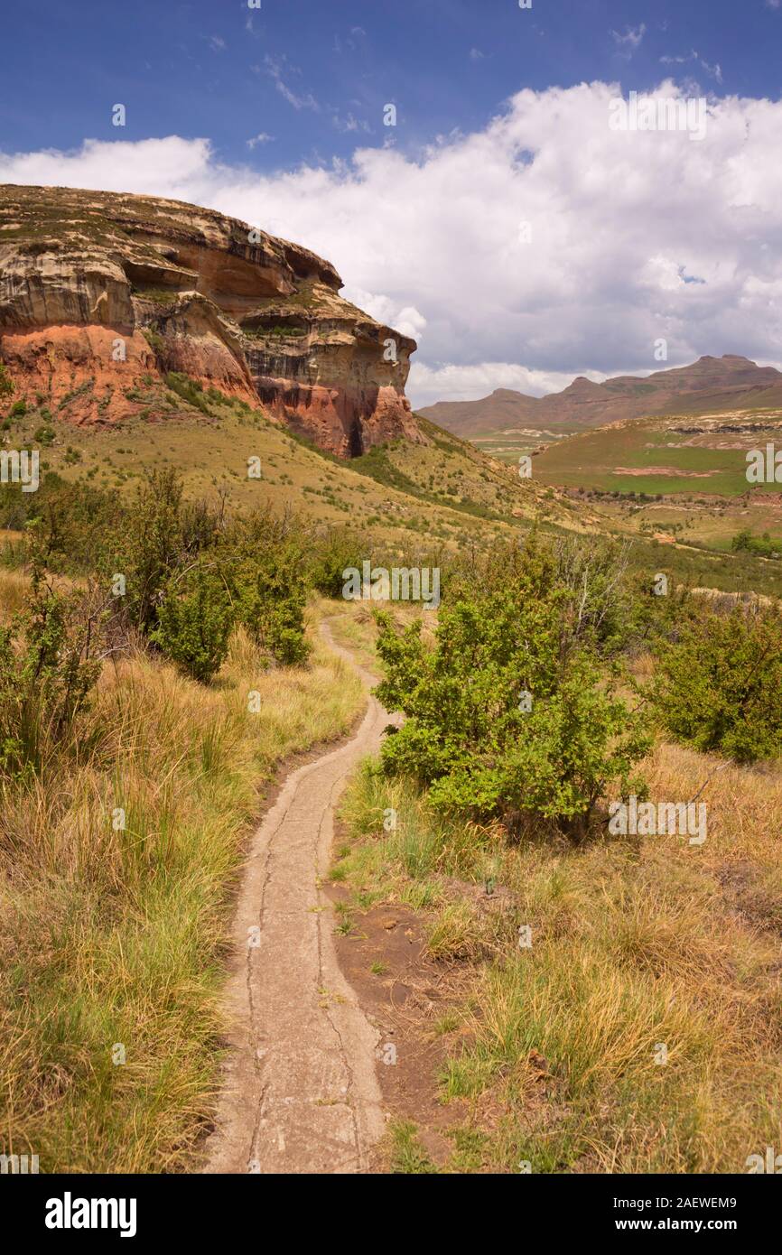 Un chemin à travers le Golden Gate Highlands National Park en Afrique du Sud. Banque D'Images