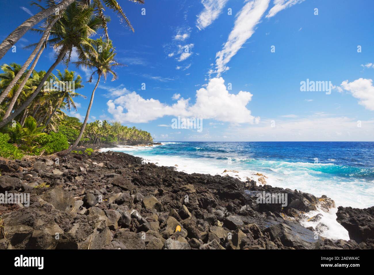 Palmiers et de roches de lave littoral sur la côte sud-est de la Puna, Big Island Hawaii, USA. Banque D'Images