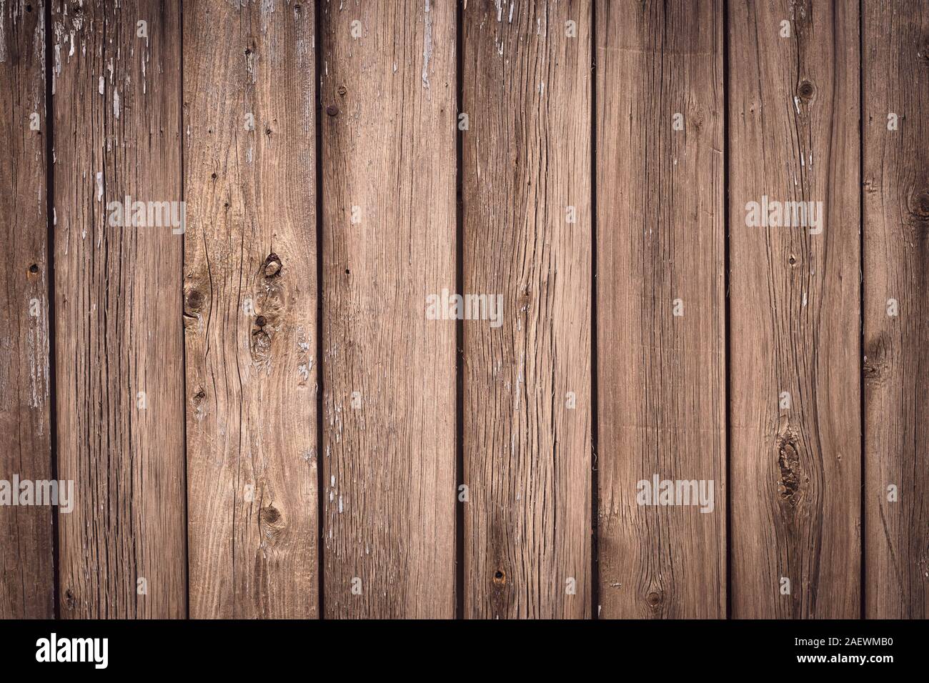 La texture de planches en bois d'arbre. Clôture en bois vintage, 24 surface. Couleur naturelle. Bois patiné, arrière-plan. Table rustique en chêne. Vieux bois brun Banque D'Images
