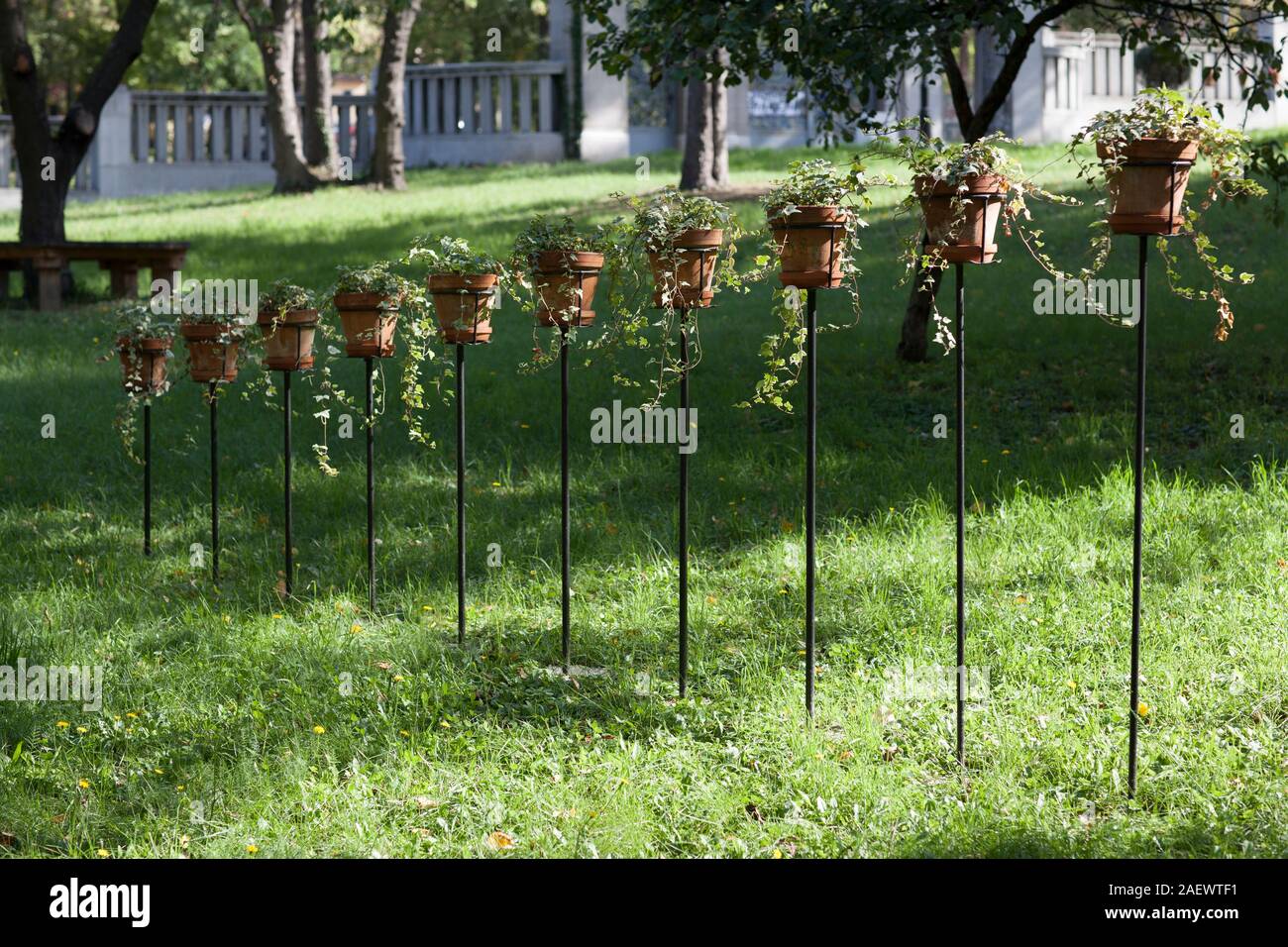 Idées de jardin, les plantes dans les pots par hauteur Banque D'Images