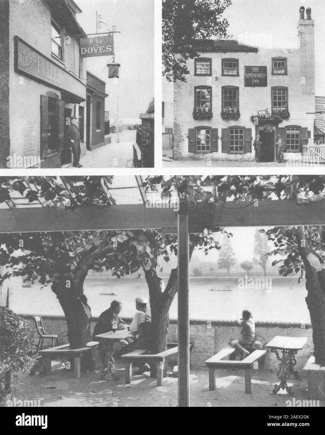Londres. Des tavernes. Les Colombes, Chiswick & les Espagnols, Hampstead 1926 old print Banque D'Images