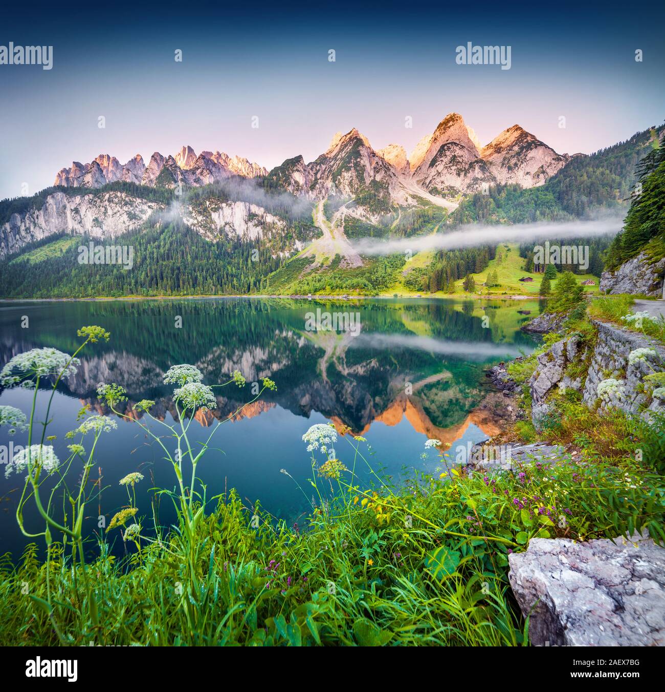 Misty matin d'été sur le lac Gosausee Vorderer dans les Alpes autrichiennes. L'Autriche, de l'Europe. Banque D'Images