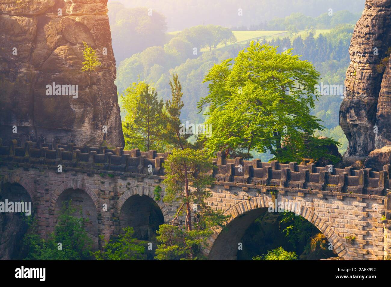 Matin brumeux sur la falaise de grès dans le Parc National de la Suisse saxonne avec Bastei pont. Printemps coloré lever du soleil en Allemagne, la Saxe, l'Europe. S artistiques Banque D'Images