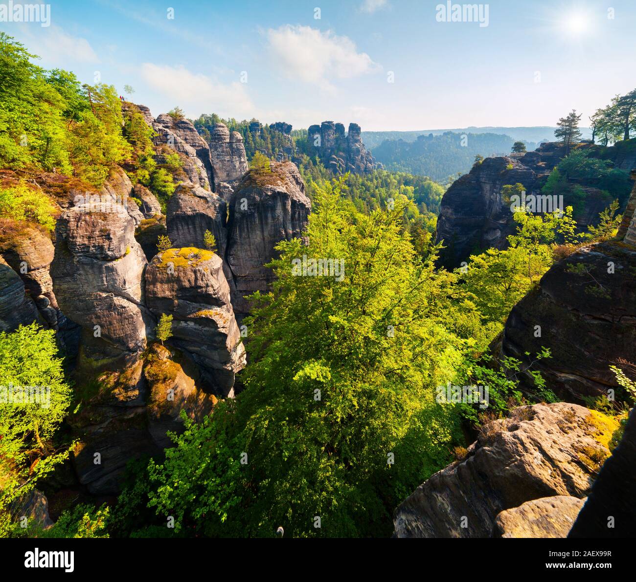 Matin brumeux sur la falaise de grès dans le Parc National de la Suisse saxonne. Paysage printemps coloré en Allemagne, la Saxe, l'Europe. Style artistique processus post Banque D'Images