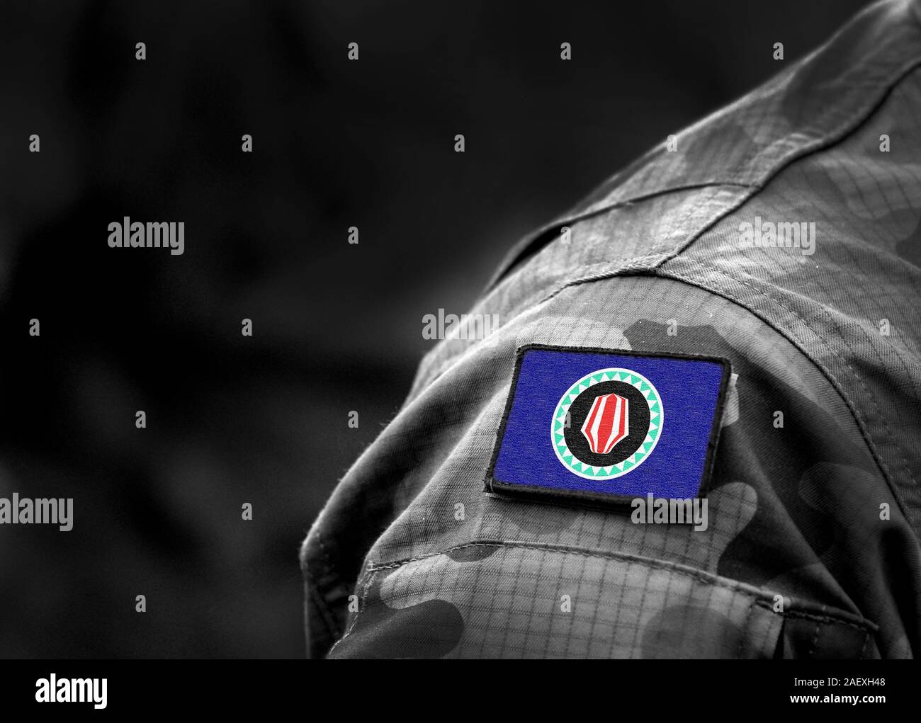 Pavillon de Bougainville d'uniforme militaire. 2019 Référendum sur l'indépendance de Bougainville. Collage. Banque D'Images