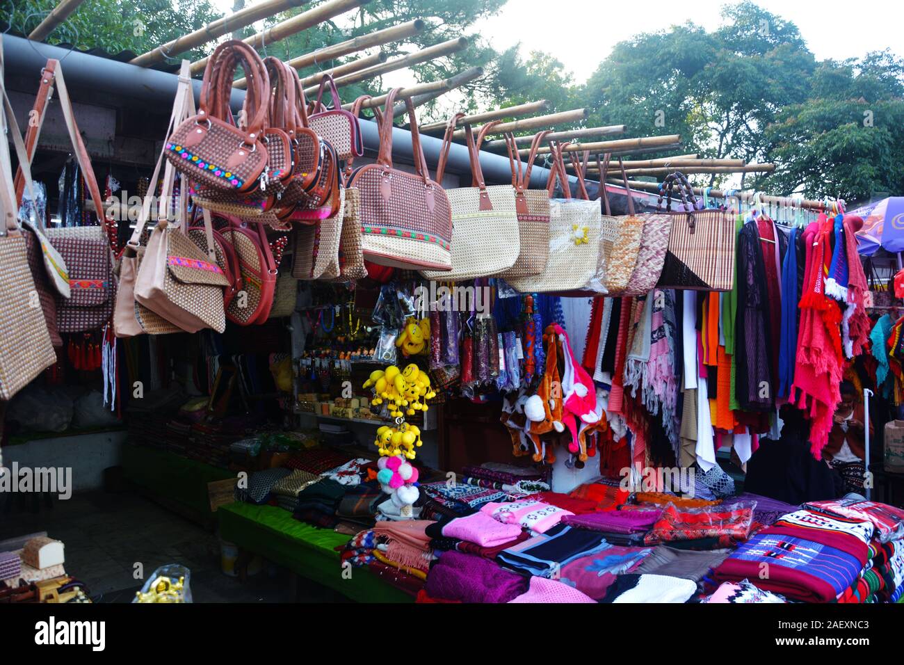 Close up d'un magasin affichant de variétés locales d'artisanat tels que des sacs, des châles dans Elephant falls de Shillong pour la vente, l'accent sélective Banque D'Images