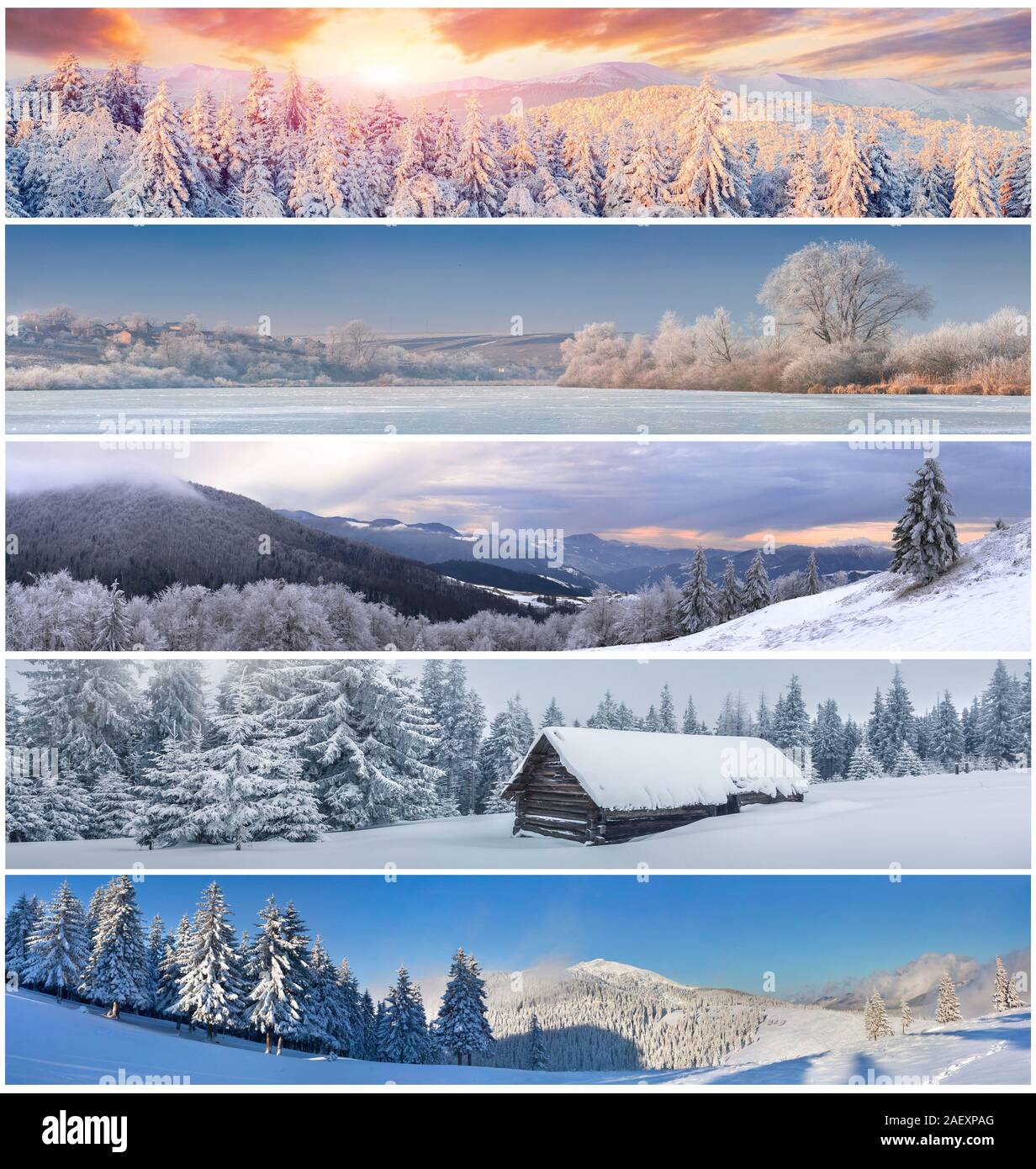 Collage d'hiver avec 5 différents paysages de Noël pour des bannières. Banque D'Images