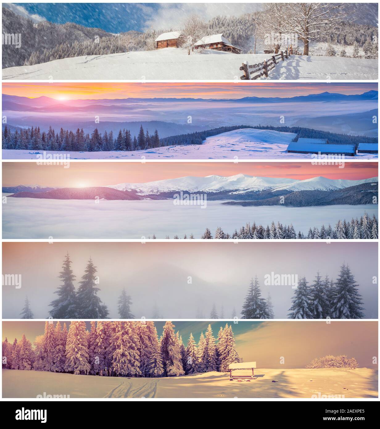 Collage d'hiver avec 5 différents paysages de Noël pour des bannières. Banque D'Images