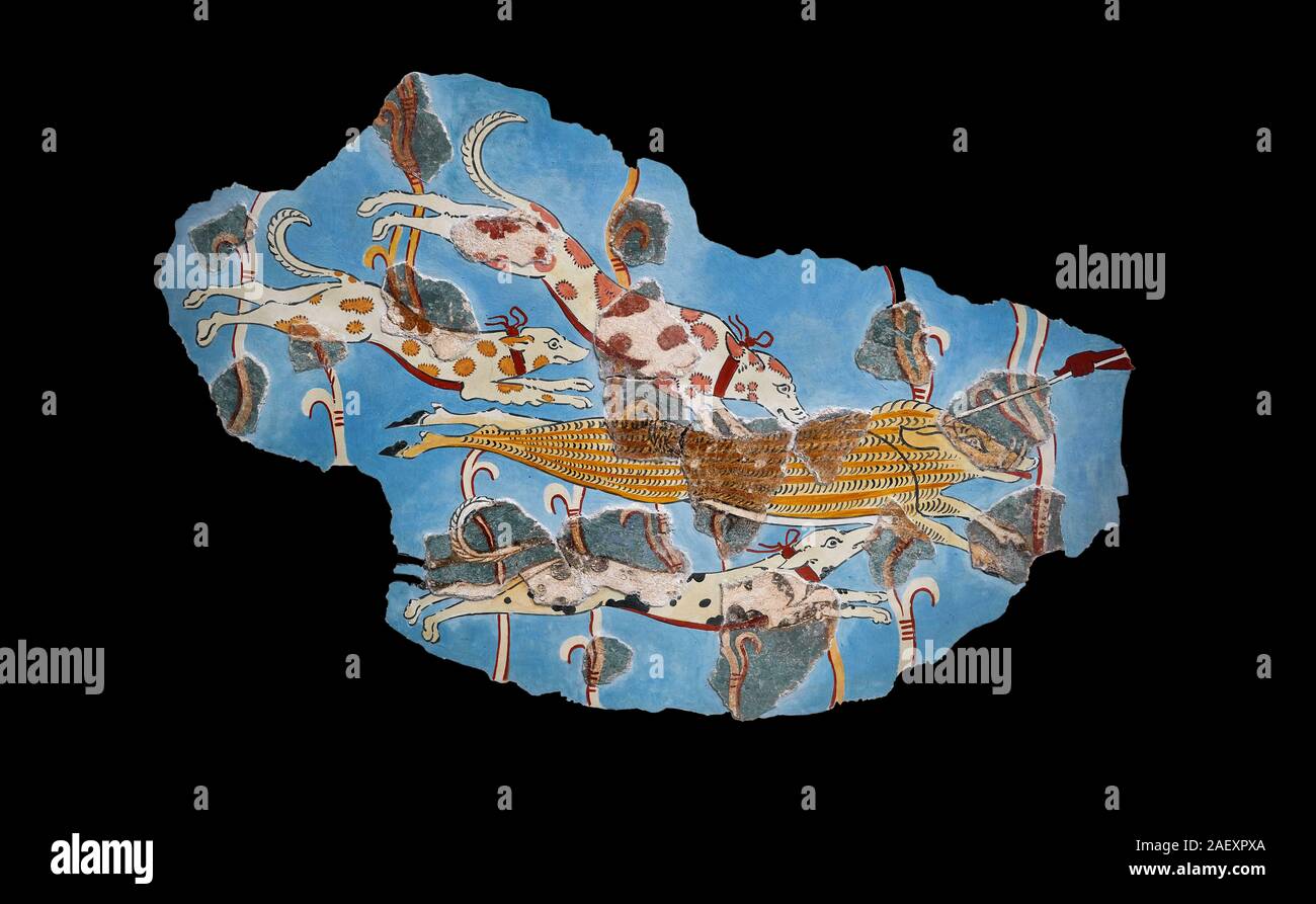 Peinture murale fresque mycénienne d'une chasse au sanglier de la cité de Tirynthe, la Grèce. 14e - 13e siècle avant J.-C.. Musée Archéologique d'Athènes. Fond noir Banque D'Images