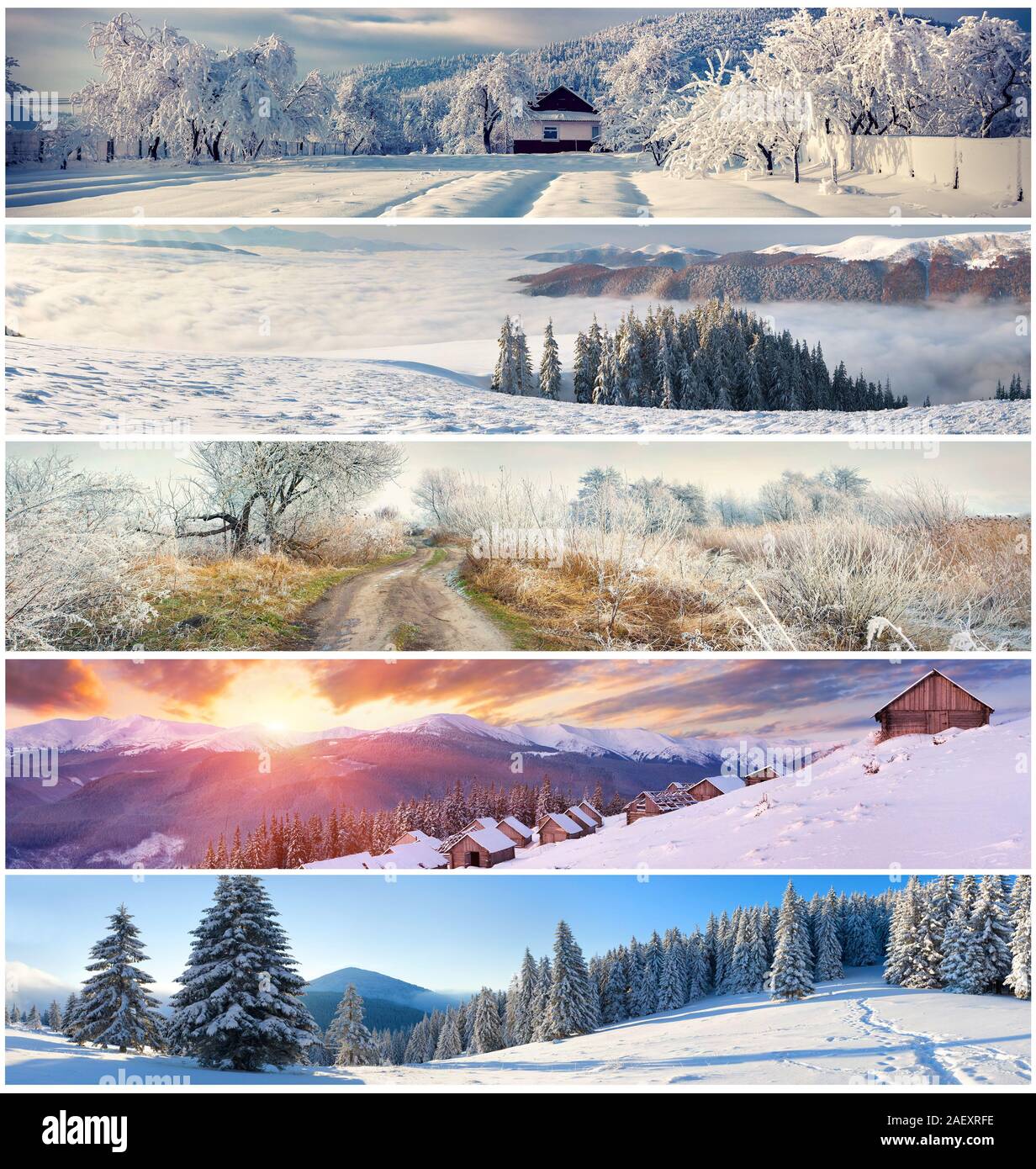 Collage d'hiver avec 5 différents paysages de Noël pour des bannières. Banque D'Images