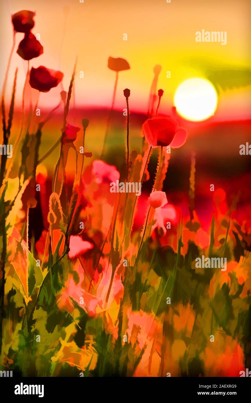 Art numérique dans un style de peinture à l'aquarelle. Coucher du soleil d'été colorés avec des coquelicots rouges. Banque D'Images