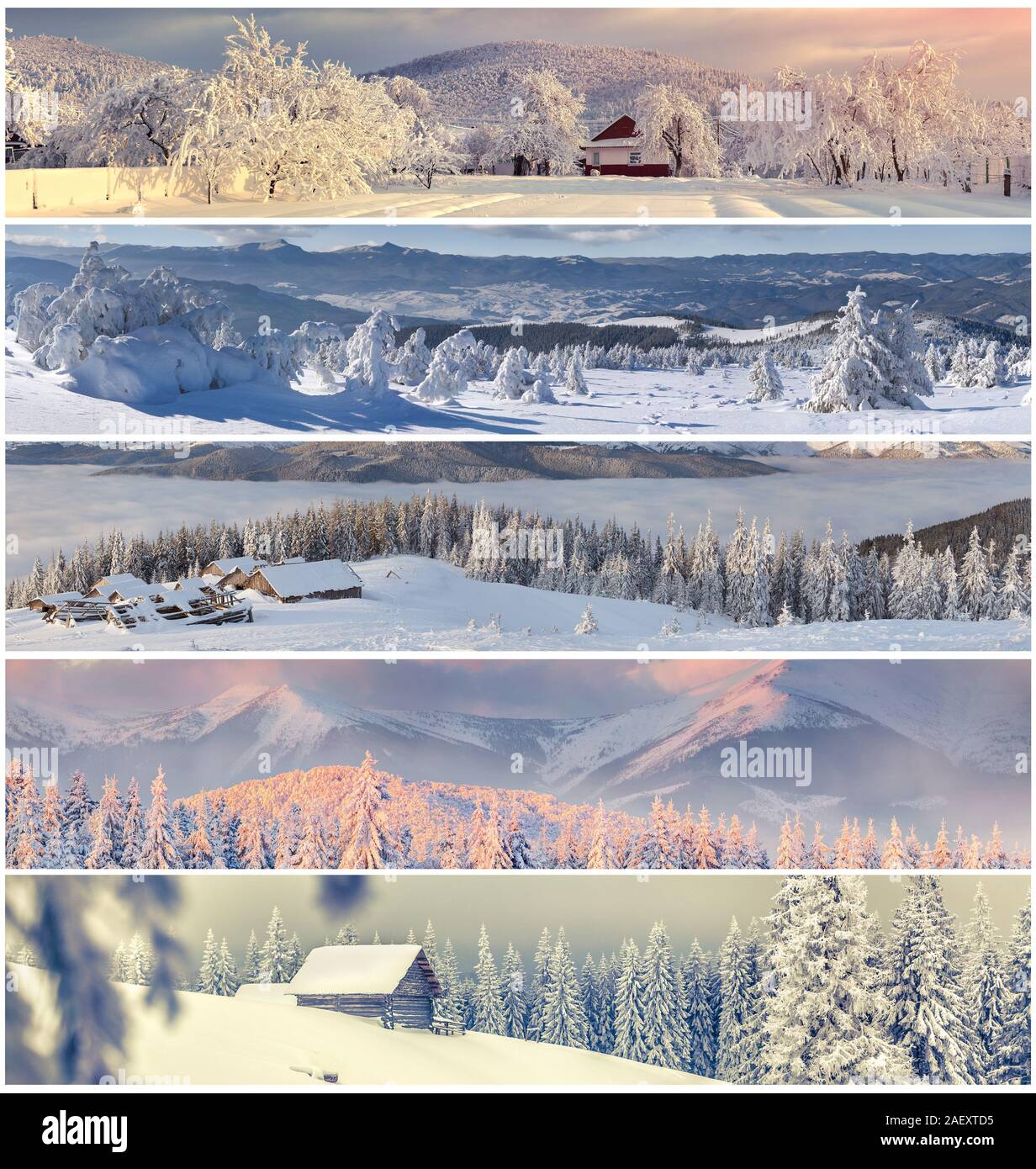 Collage d'hiver avec 5 différents paysages de Noël pour des bannières. Banque D'Images