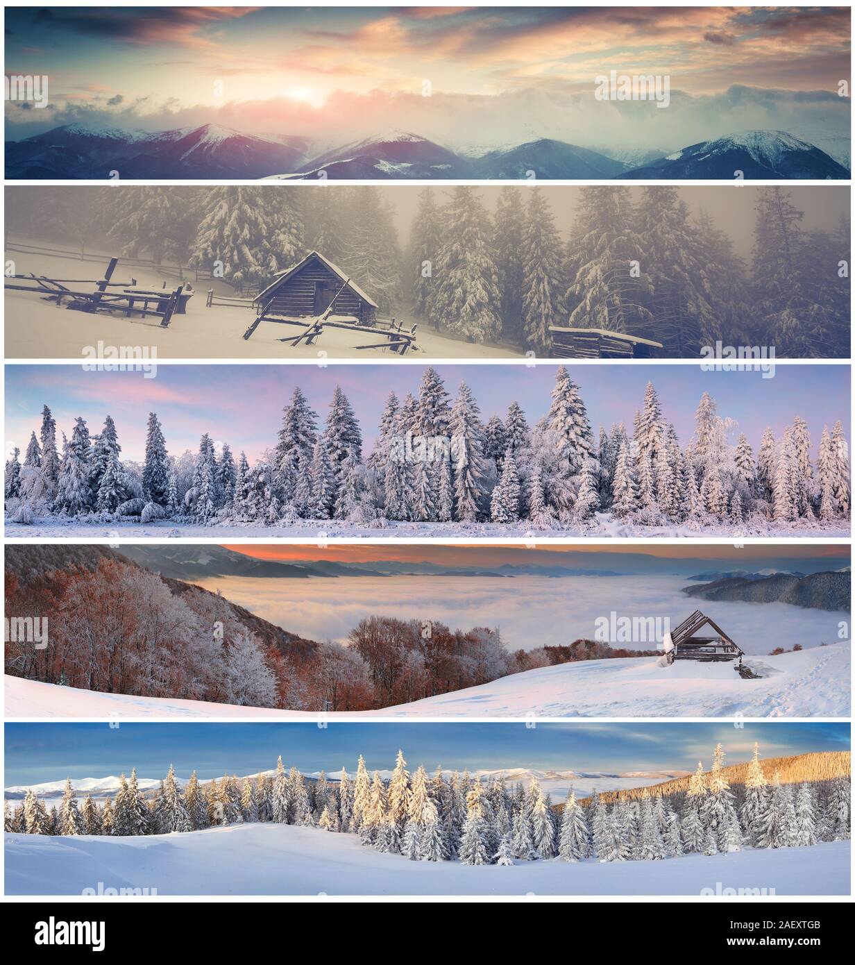 Collage d'hiver avec 5 différents paysages de Noël pour des bannières. Banque D'Images