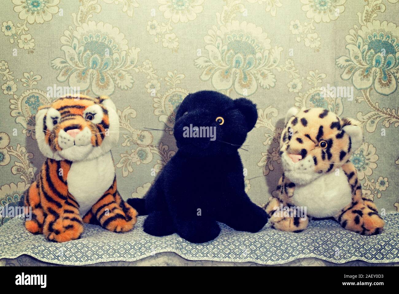 Soft toys féline et papier peint à l'ancienne Banque D'Images