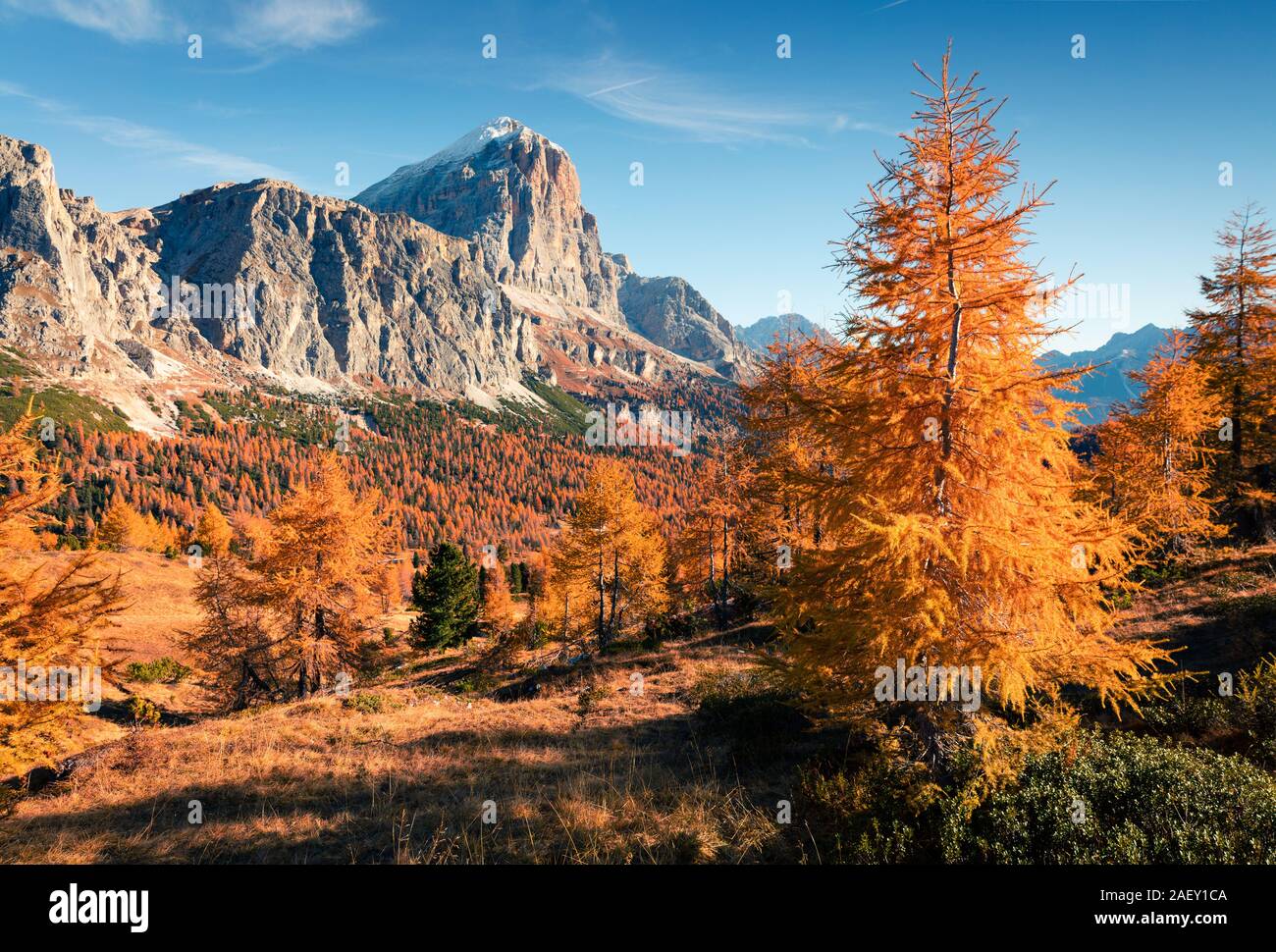Vue splendide du haut de la montagne avec col Falzarego Lagazuoi. Matin d'automne dans les Alpes dolomitiques, Cortina d'Ampezzo, Italie, Europe lacattion Banque D'Images